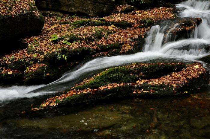 Podzimní voda
